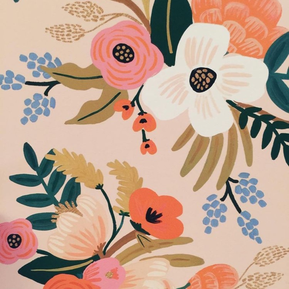 Meet your Posher, Rudi